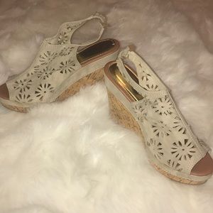 Bucco Capensis Wedges